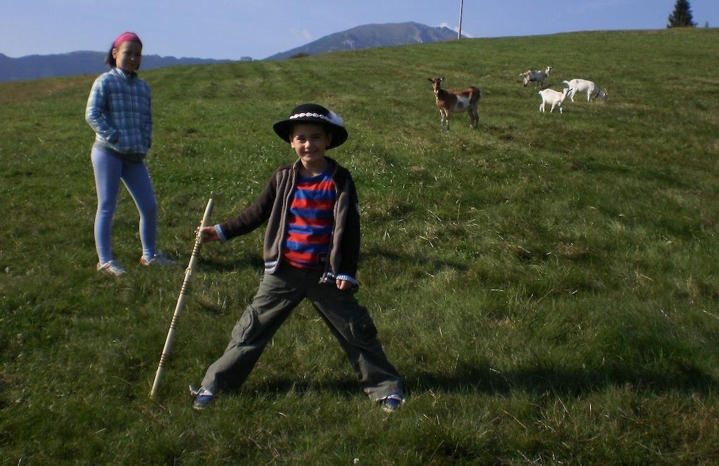 Penzion Deny Ždiar Extérieur photo